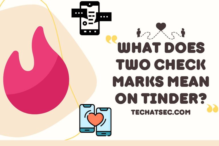 What Do Two Check Marks Mean on Tinder Messages? [Updated]